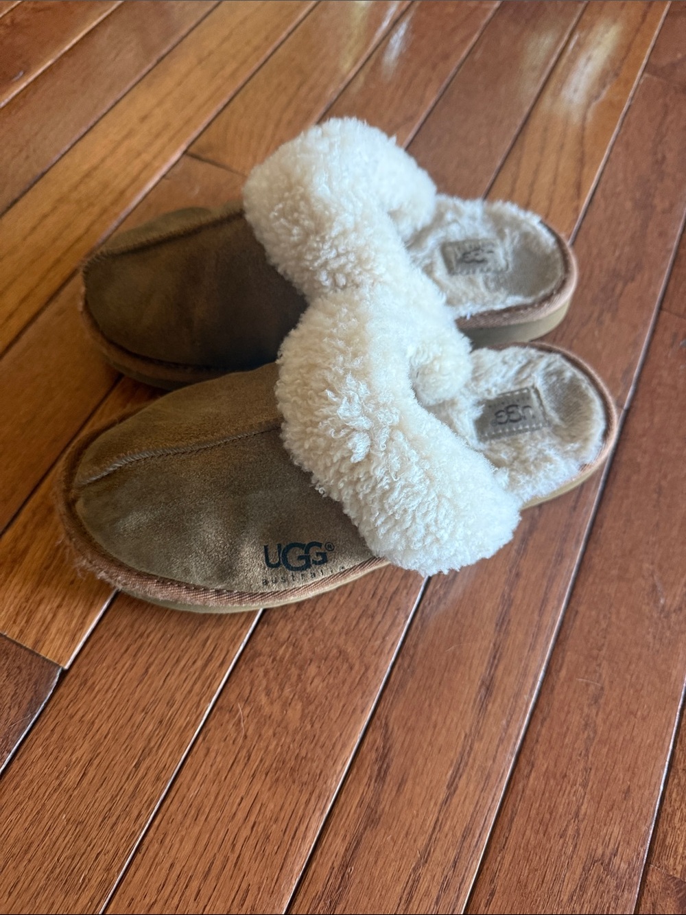 UGG Chestnut Suede Shearling Clog Shoes with Cream Fur